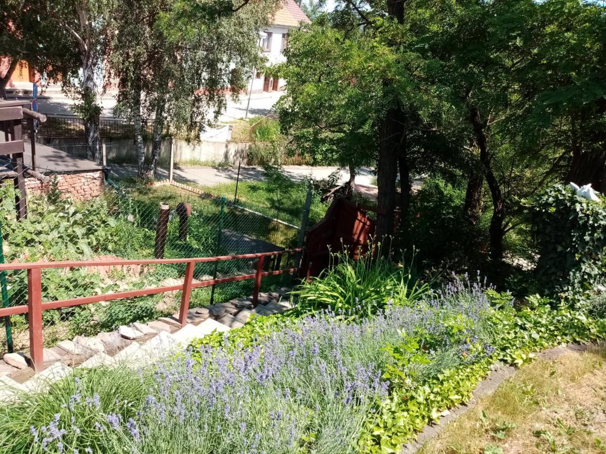 Penzion Slunce Nad Vinnym Sklepem Moravská Nová Ves Buitenkant foto